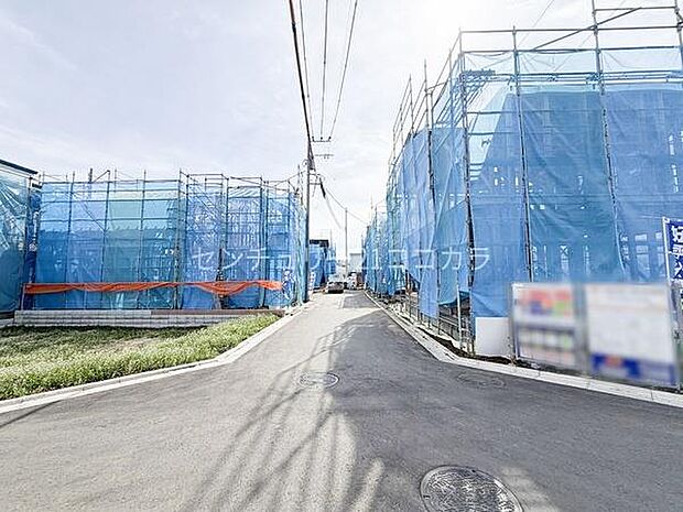 2026年2月27日撮影