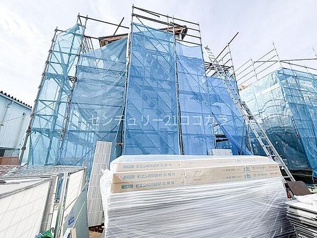 2026年2月27日撮影