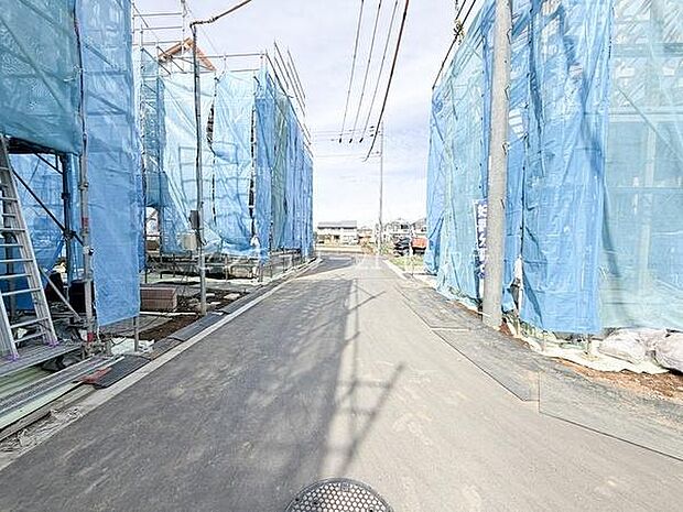 2026年2月27日撮影