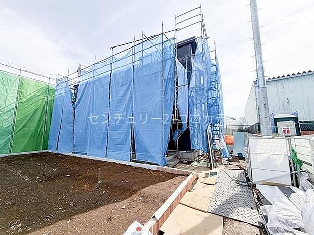 2026年2月27日撮影