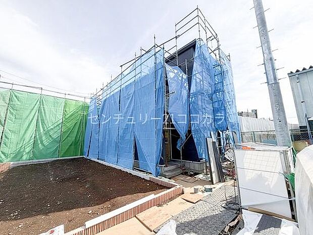 2026年2月27日撮影