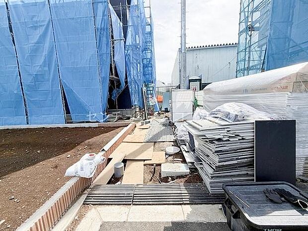 2026年2月27日撮影