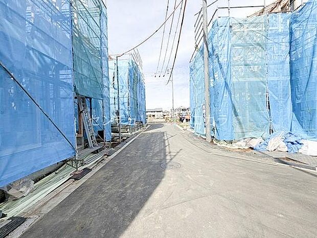 2026年2月27日撮影