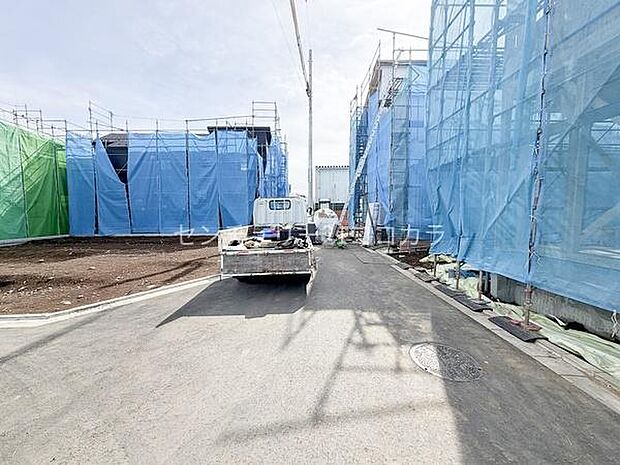 2026年2月27日撮影