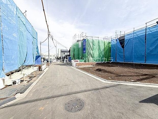 2026年2月27日撮影