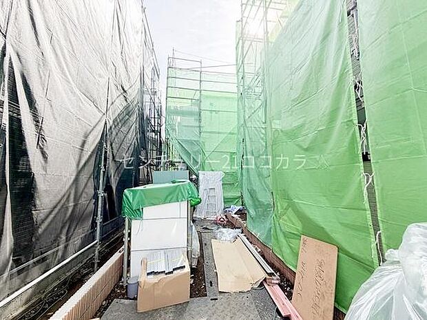 2026年2月27日撮影