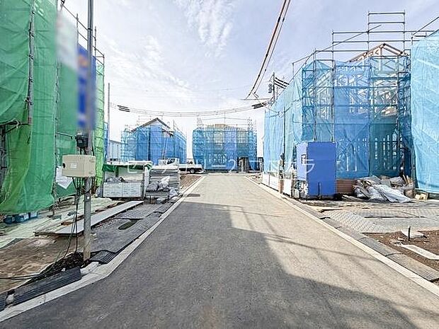 2026年2月27日撮影