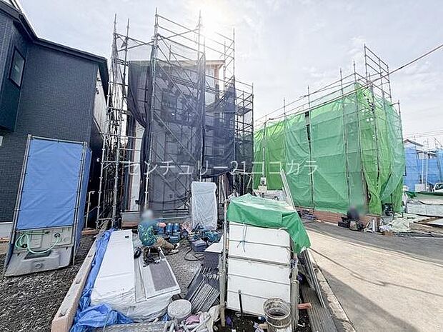 2026年2月27日撮影