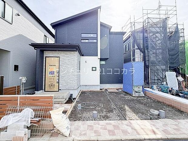 2026年2月27日撮影