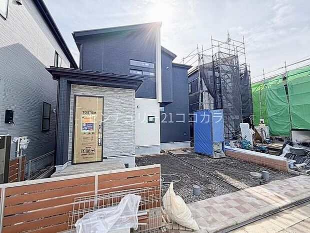 2026年2月27日撮影