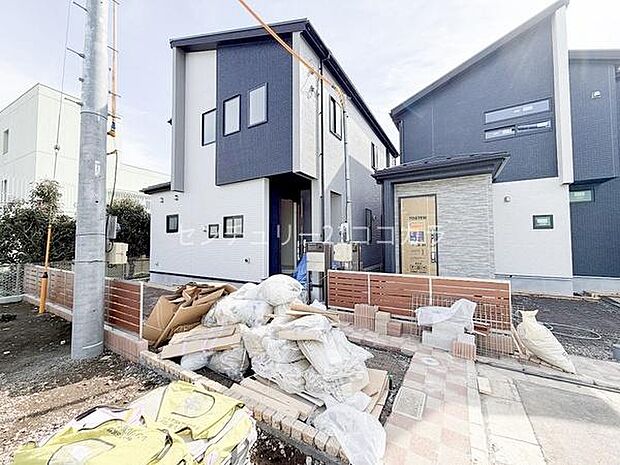 2026年2月27日撮影