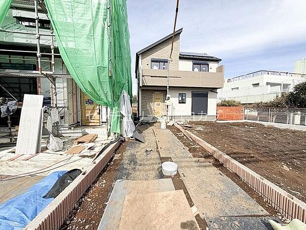 2026年2月27日撮影