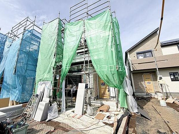 2026年2月27日撮影