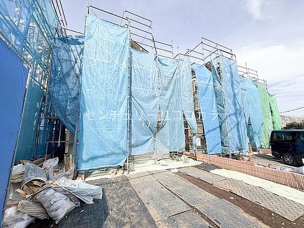 2026年2月27日撮影