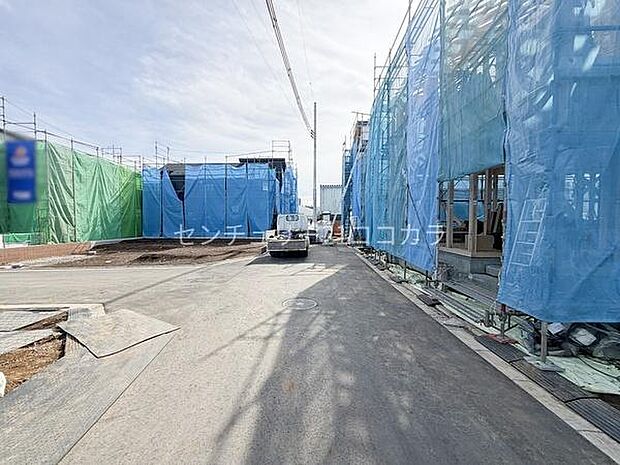 2026年2月27日撮影