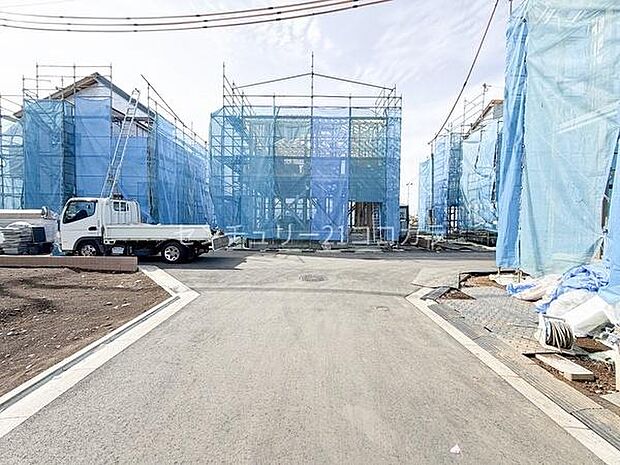 2026年2月27日撮影