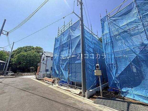 2026年5月2日撮影
