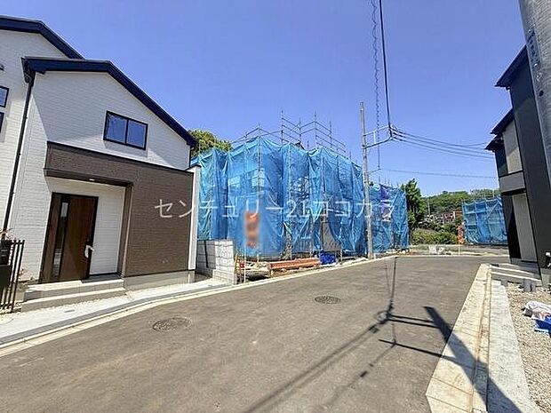 2026年5月2日撮影