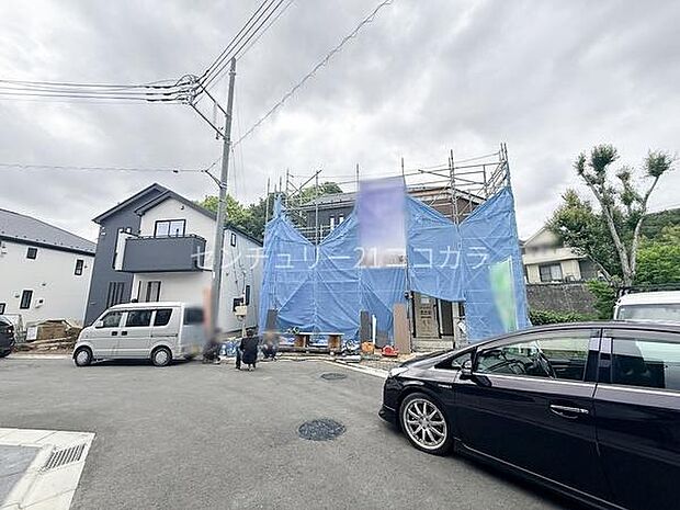 2026年6月8日撮影
