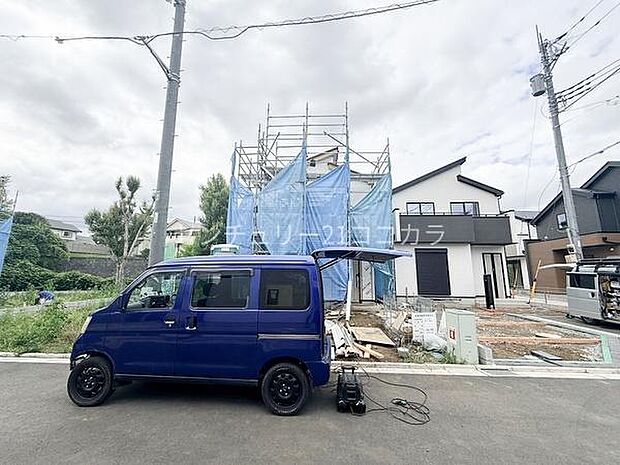 2026年6月8日撮影