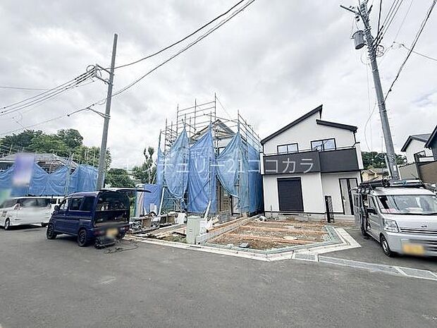2026年6月8日撮影
