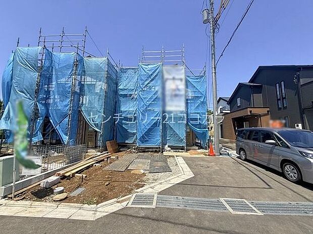 2026年5月2日撮影