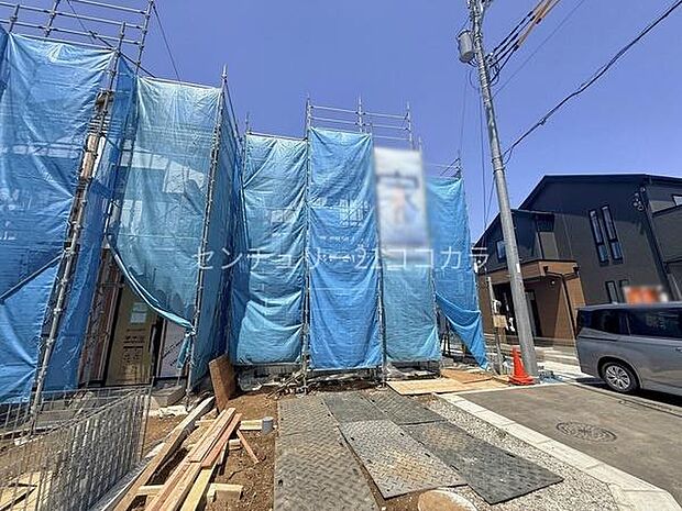 2026年5月2日撮影