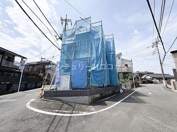 2026年7月30日撮影