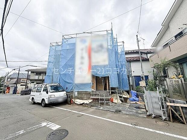 2026年6月8日撮影