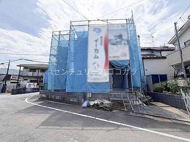 2026年7月30日撮影