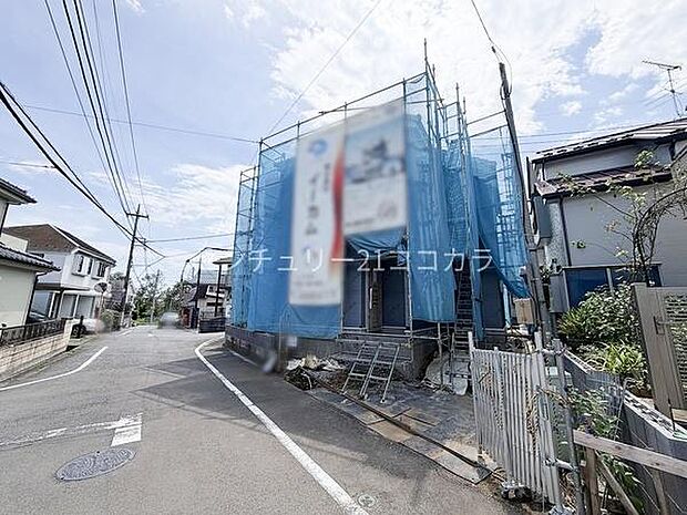 2026年7月30日撮影