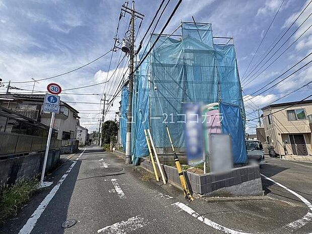 2026年9月25日撮影