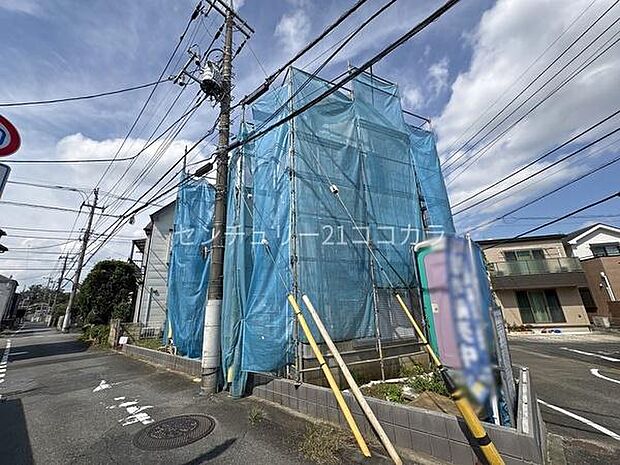 2026年9月25日撮影