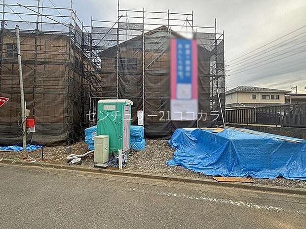 2026年3月28日撮影