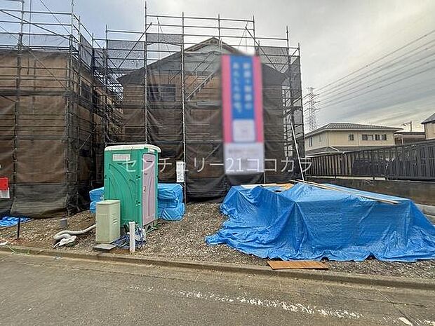 2026年3月28日撮影