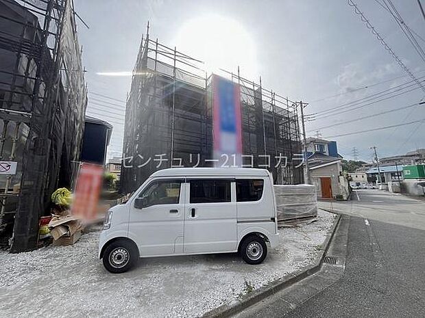 2025年5月25日撮影