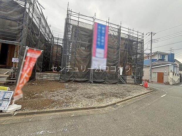 2026年3月28日撮影