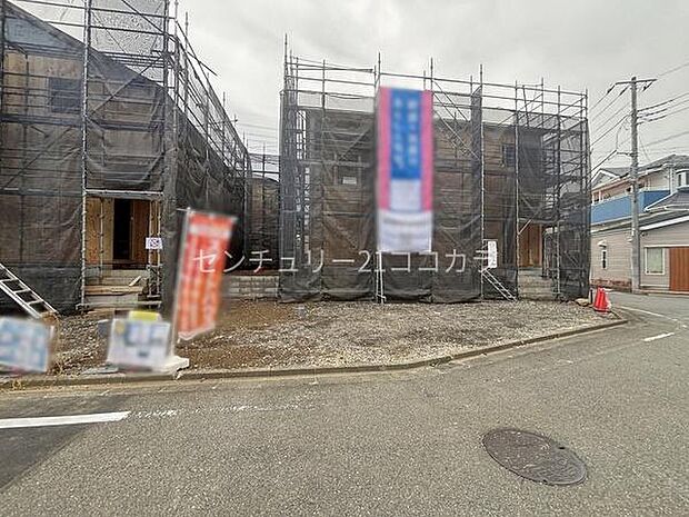 2026年3月28日撮影