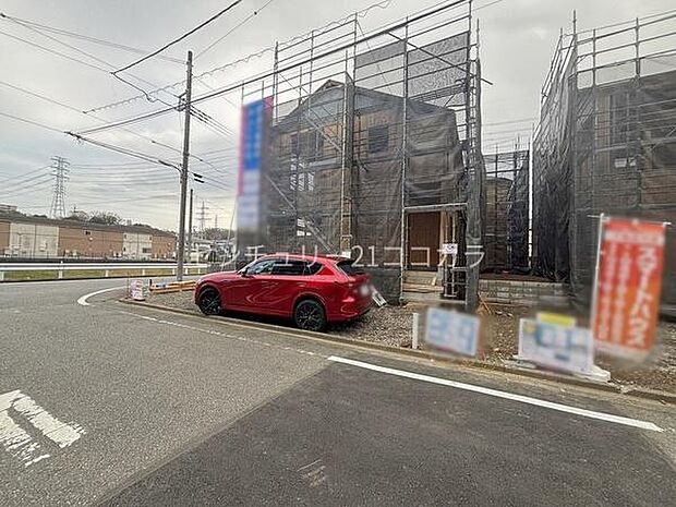 2026年3月28日撮影