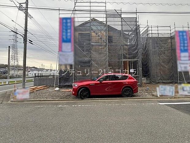 2026年3月28日撮影