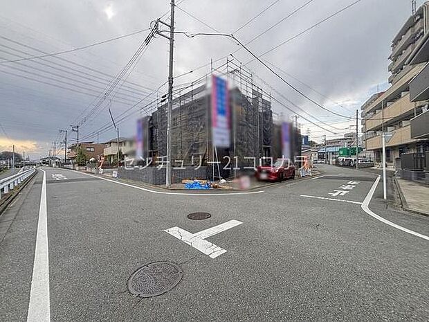 全体写真 2026年3月28日撮影