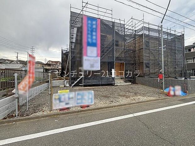 2026年3月28日撮影