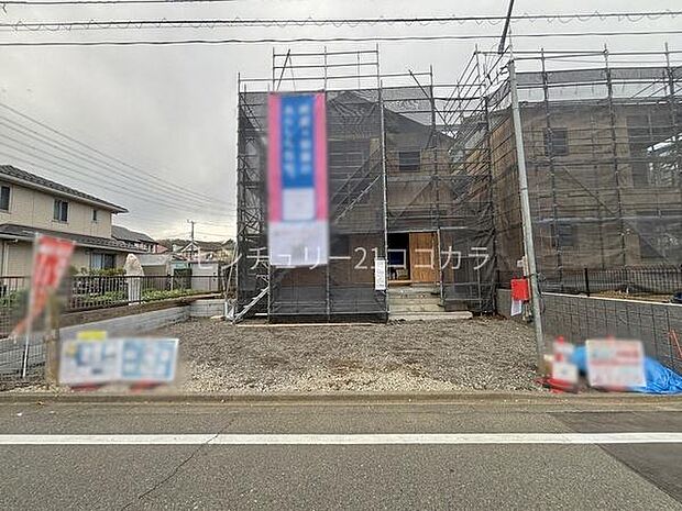 2026年3月28日撮影