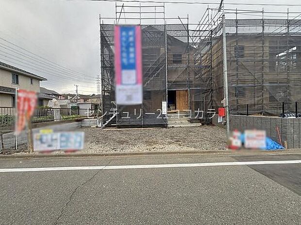 2026年3月28日撮影