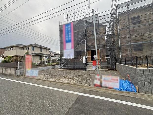 2026年3月28日撮影