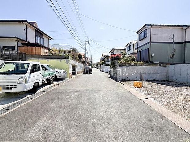 2026年4月3日撮影