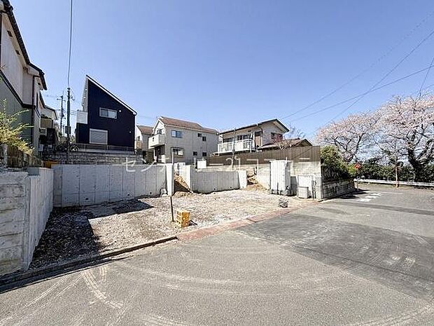 2026年4月3日撮影