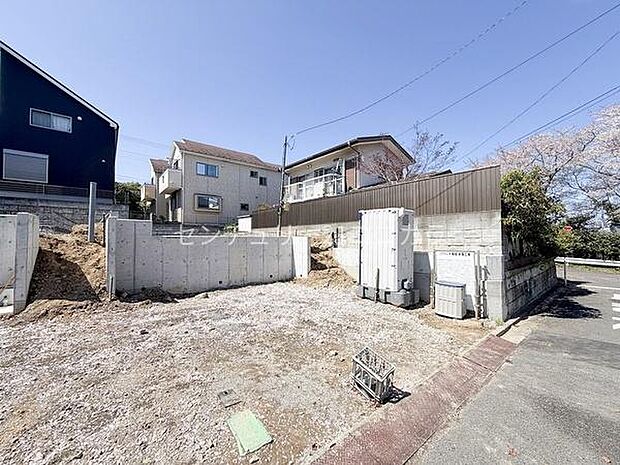 2026年4月3日撮影