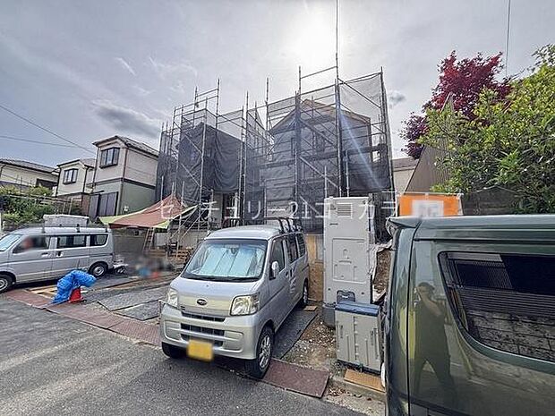 2026年5月25日撮影