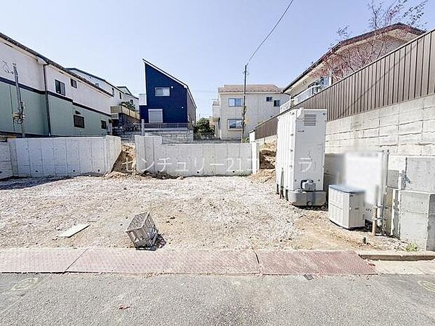 2026年4月3日撮影